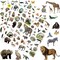 400 Pcs Jungle Animal Stickers for Kids, 8 Sheets Wild Safari Animal Decals for Scrapbooking, Water Bottles, Envelopes, Classroom Rewards & Party Favor Decorations